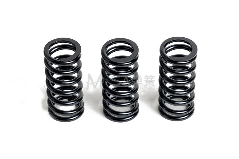 DSC00809壓簧 - 副本.jpg