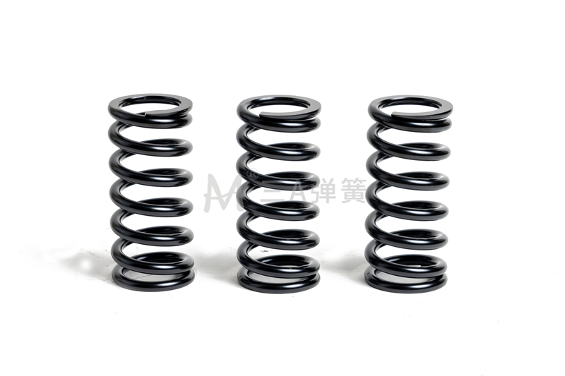 DSC00810壓簧 - 副本.jpg