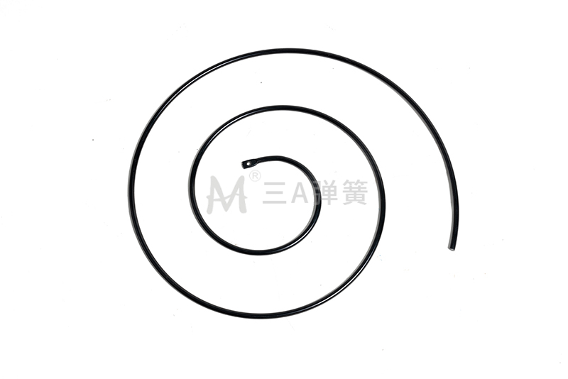 DSC00895渦卷彈簧 - 副本.jpg